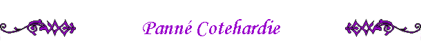 Pann� Cotehardie