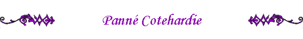 Pann� Cotehardie