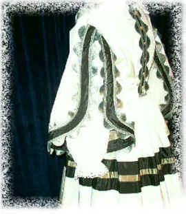 cwarsleeve1