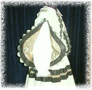 cwarsleeve2