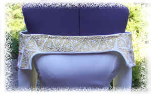 ecgcollar