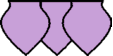 scallop