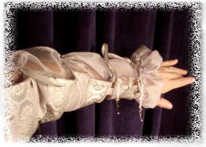 sisleeve02